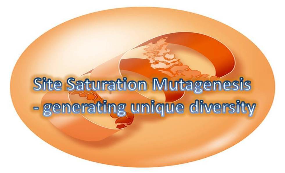 Site-Saturation Mutagenesis